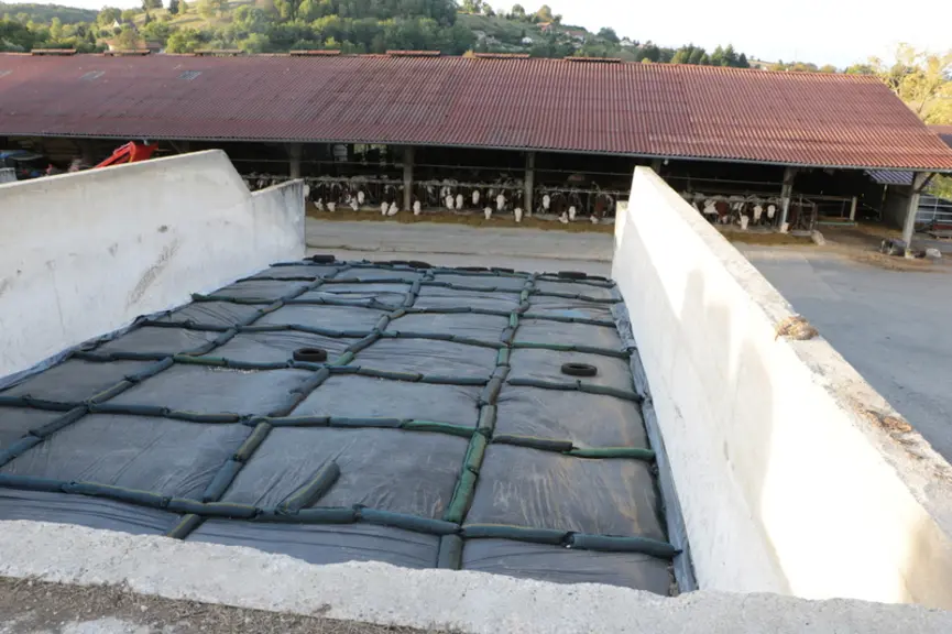 Le Gaec utilise le dénivelé pour charger les quatre silos couloirs par le haut.