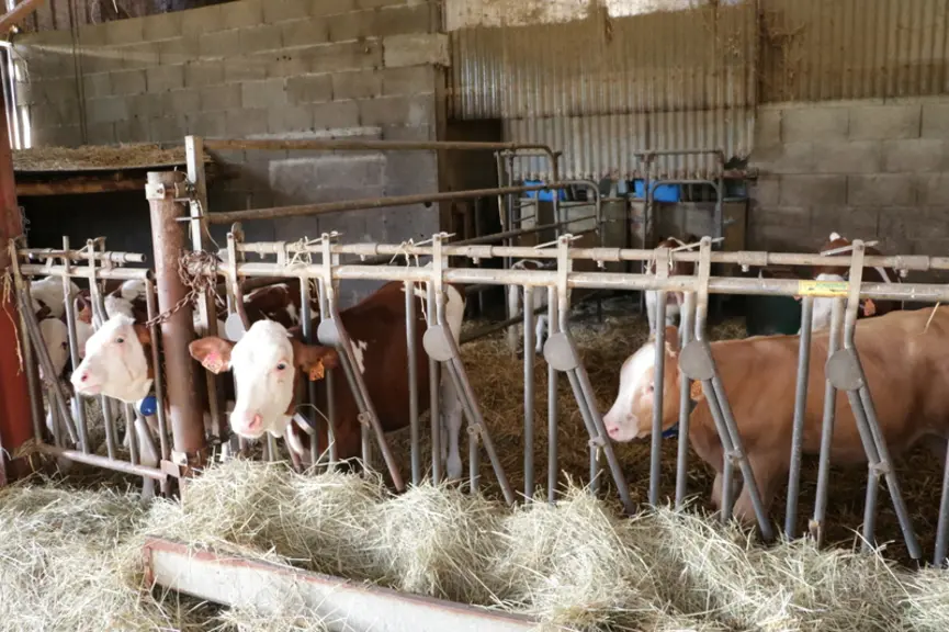 En Isère: « Nous cherchons à automatiser au maximum pour produire notre contrat de 625 000 litres de lait»