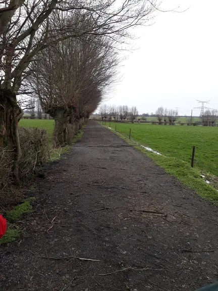 Le chemin où ne passent que les vaches est resté en bon état depuis quatre ans.