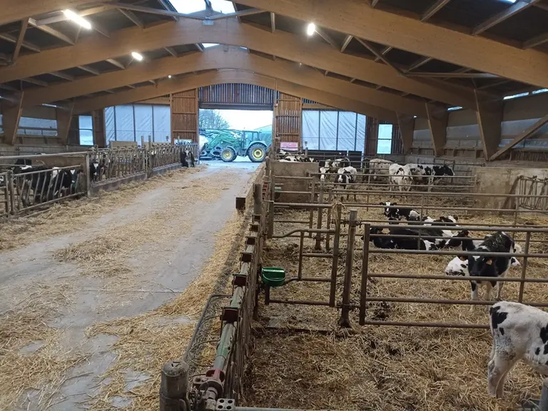 Un bâtiment de 650 m² a été construit à l’emplacement de l’ancien bâtiment pour accueillir toutes les génisses de 1 à 15 mois. Le réaménagement intérieur a permis de passer de 55 à 80 places.
