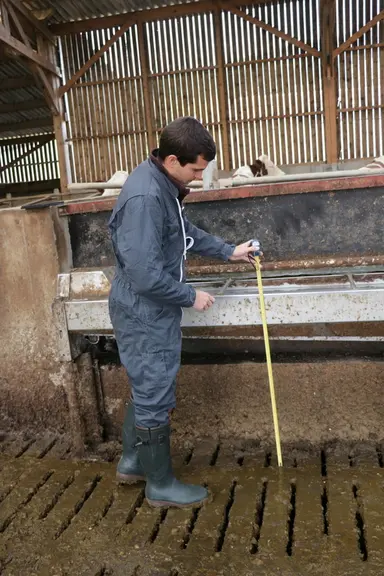 Au Gaec des Marais : une sous-capacité d'abreuvement des vaches et des courants parasites