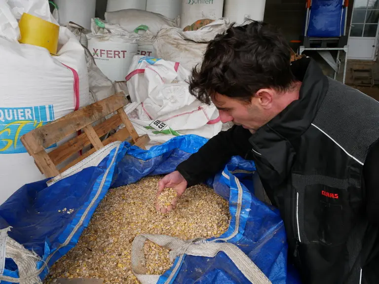 Cette VL fermière se compose d’un mélange de lupin, soja, féverole et orge. L’éleveur en distribue en moyenne 1,9 kg au robot en plus des 1,4 kg de to