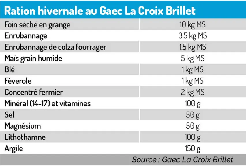 « Nous sommes quasi-autonomes en bio avec des vaches à 10 000 kilos »
