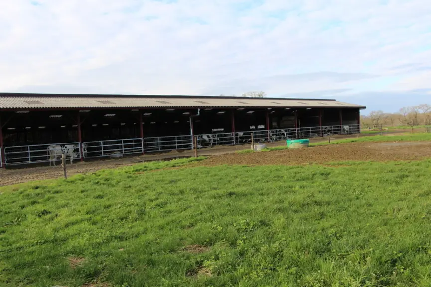 C'est la surface pâturable qui a déterminé le nombre optimal de vaches laitières sur l'exploitation.