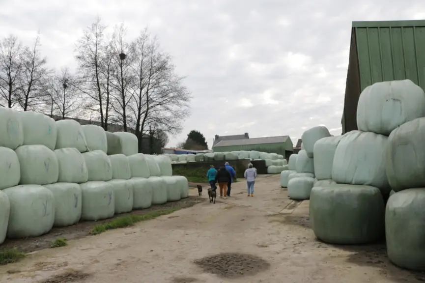 1 200 balles enrubannées ont été récoltés en 2021 et 1 000 en 2020.