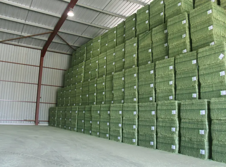 Pour une production à peu près équivalente de pellets et balles de luzerne depuis 2008, la consommation d'énergie de la filière a quasiment été divisé