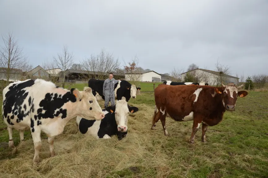 Gérard Grandin pratique depuis 2013 les vêlages groupés de printemps.