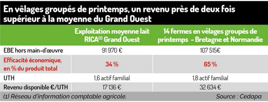 « Je groupe mes vêlages au printemps pour gagner du temps »