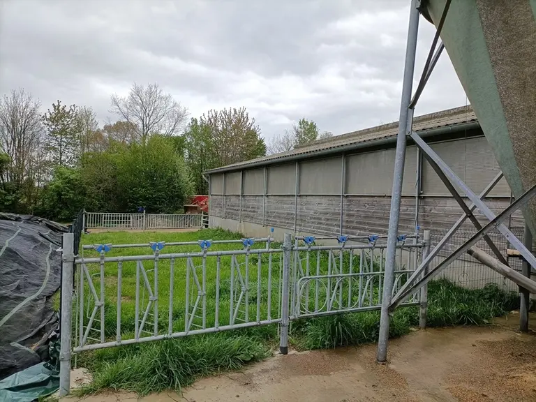 Au Gaec de L'Audrenais, un trou sera créé dans le mur, pour que les deux lots de génisses puissent s'habituer à l'extérieur et au fil électrique qui p