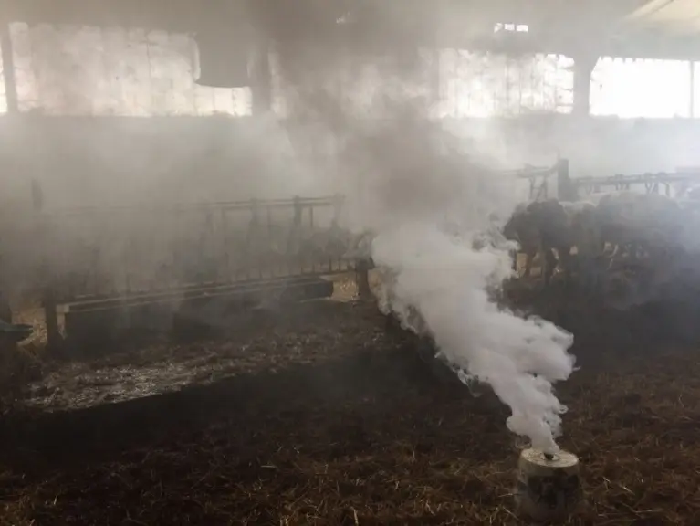 Réalisation d’un fumigène dans l’ancienne nurserie. Constat : la fumée est toujours présente 20 minutes plus tard.