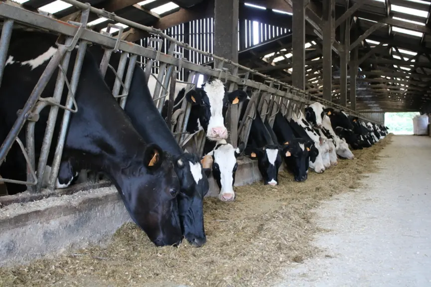 L’effet du niveau d’ingestion sur la maîtrise du déficit énergétique est supérieur à celui de la densité énergétique de la ration et du niveau de prod