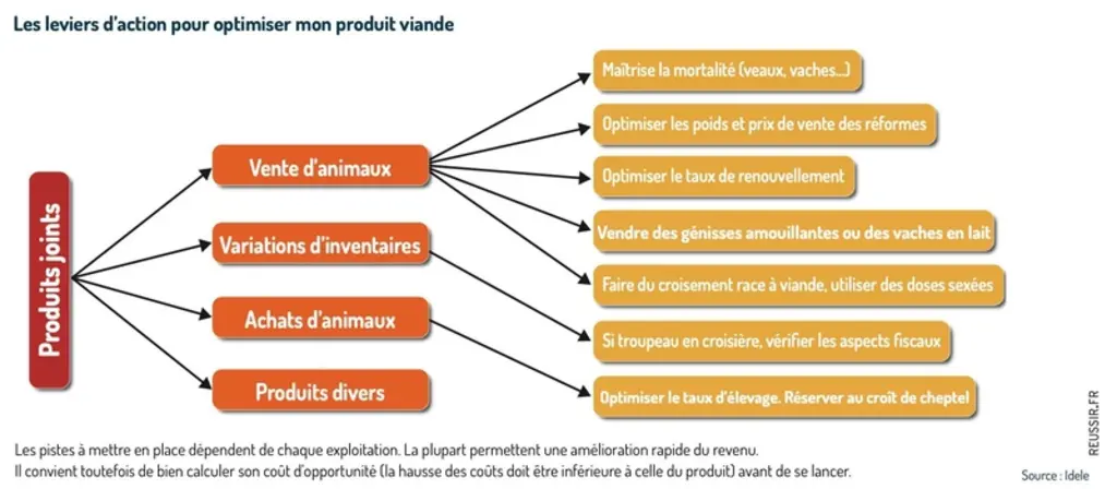 Pensez à la valorisation de la viande pour améliorer votre revenu