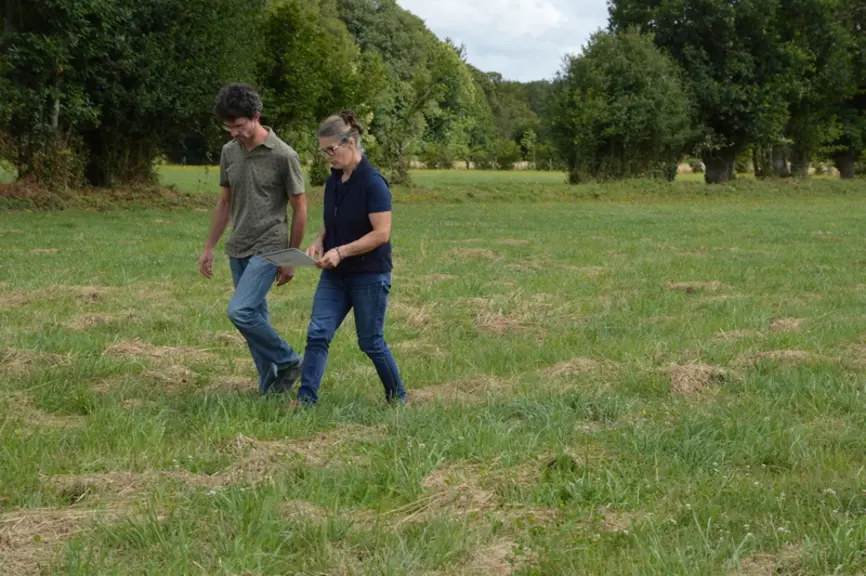 En binôme, les agriculteurs arpentent la parcelle pour en évaluer la densité, les dégradations.