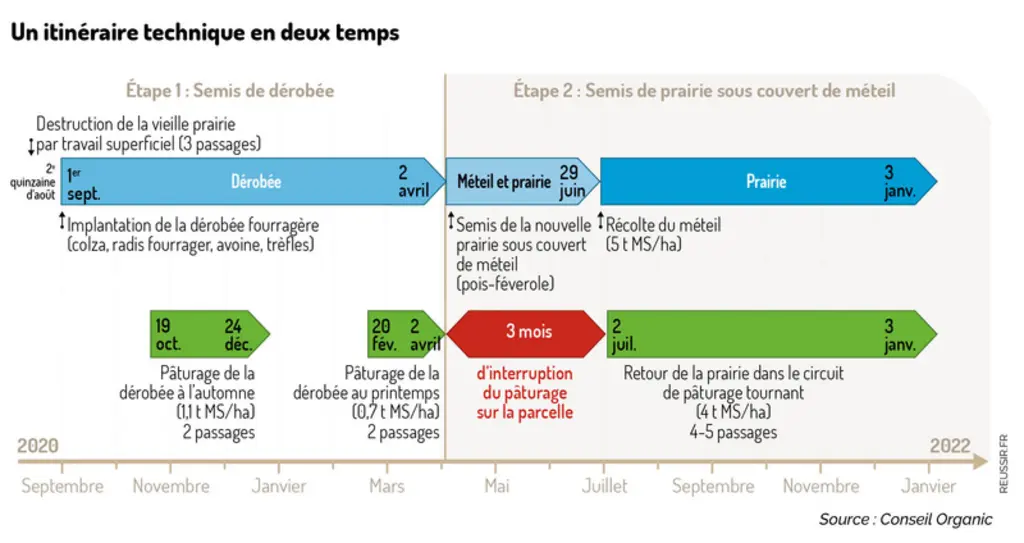 « Quand nous renouvelons une prairie, elle sort du circuit de pâturage seulement trois mois »