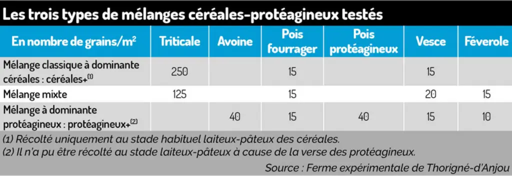 Faites une bonne première coupe grâce au semis de prairies sous couvert