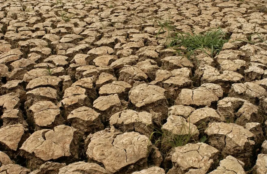 Pour Jean Jouzel, climatologue, « l’élevage participe au réchauffement climatique, il faut en être conscient. »