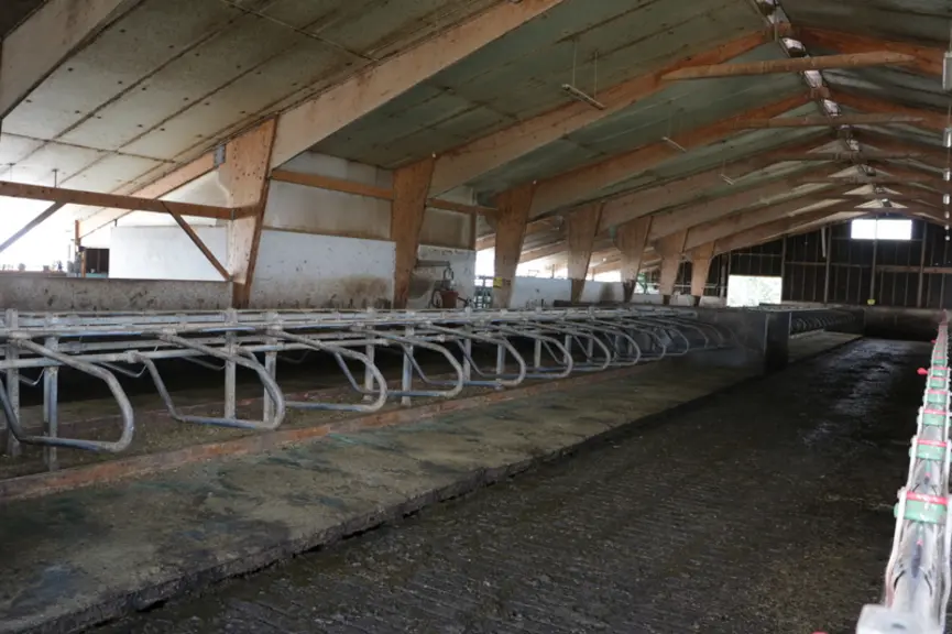 La stabulation à logettes caillebotis a été mise en service en 2007. Le Gaec utilise un asséchant litière (1 600 €) sur tapis. 