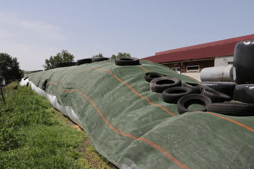 L’ensilage de maïs et l’ensilage d’herbe sont stockés en boudins pour éviter les problèmes de butyriques liés à une mauvaise conservation.