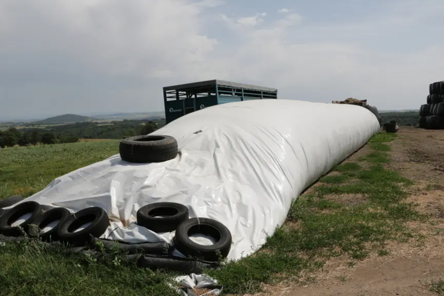 L’ensilage de maïs et l’ensilage d’herbe sont stockés en boudins pour éviter les problèmes de butyriques liés à une mauvaise conservation.