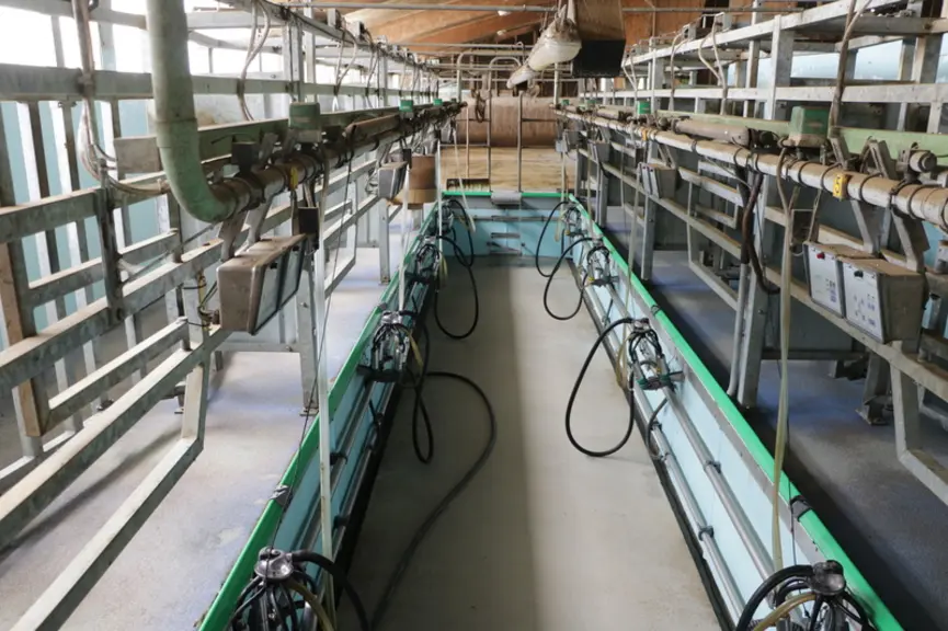 « Notre salle de traite tandem 2x4 permet de bien voir les vaches. Et quand une vache est longue à traire, elle ne gêne pas les autres. Nous trayons 90 vaches en 1h30 », affirme Nadine Charrade.