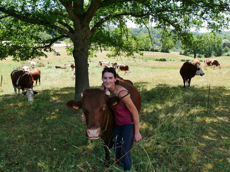 « Des vaches dociles, ça change la vie »