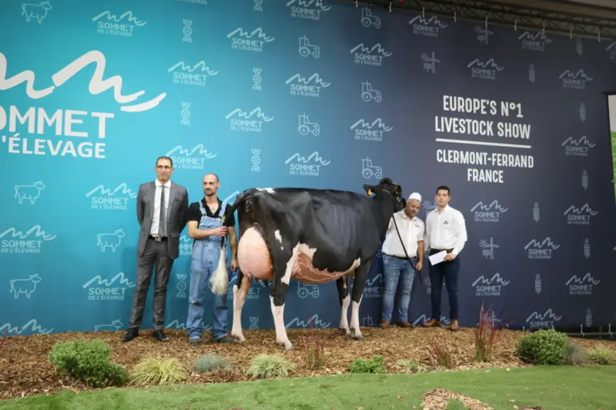 Sancy Mahou (Diamondbac), copropriété du Gaec de la Plain de de Thierry Gauthier a raflé le prix de championne suprême ainsi que de meilleure mamelle adulte.