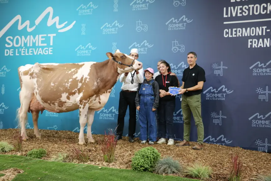 Laudu Red Hot (Armani RF), copropriété du Gaec Dupuy et Thierry Gauthier a remporté le prix de grande championne rouge.