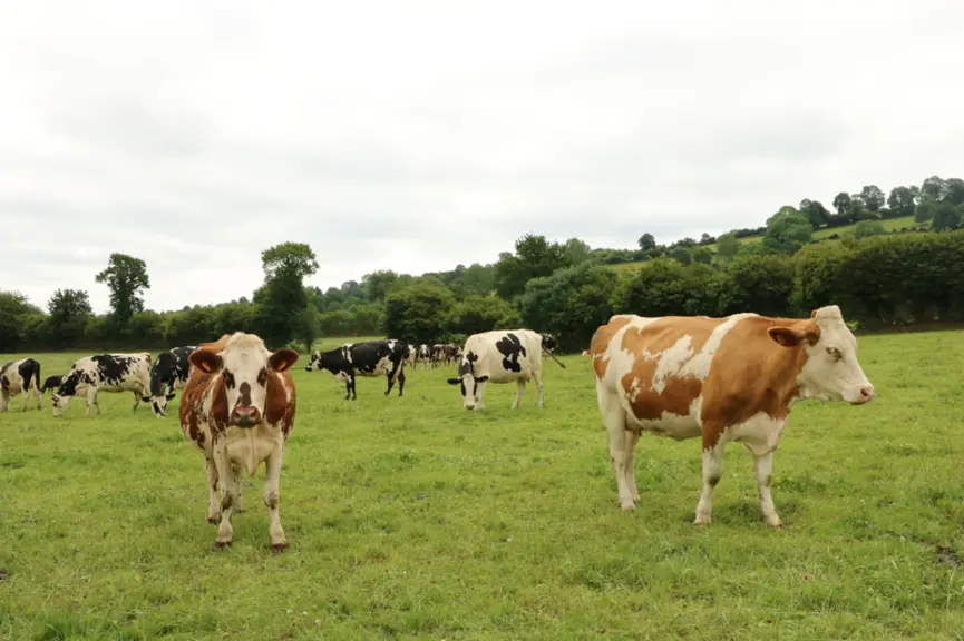 La légère érosion du prix du lait sur le premier semestre 2022 (par rapport au premier semestre 2021) est stoppée.