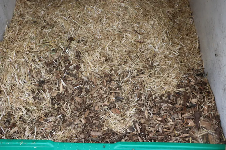 La litière est composée de copeaux de bois en sous-couche, puis de paille coupée à l'ensileuse.