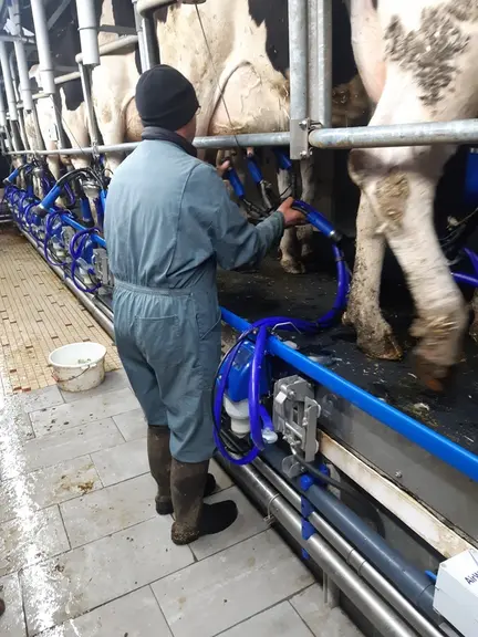 Le choix de griffes plus légères et de tuyaux en silicone soulage les bras et les épaules.