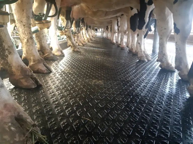 Les tapis en caoutchouc facilitent le lavage.