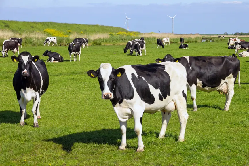 Dans les pays nordiques (Allemagne,Irlande, Pays-Bas), la PAC servira àaccompagner les éleveurs pour répondre aux nouvelles normes nationales environn
