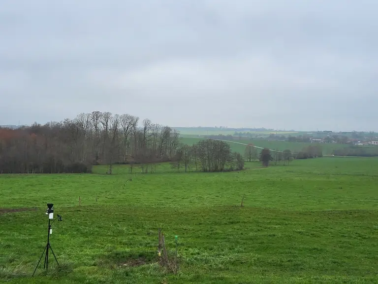 Dans les Vosges, la mise en place de prairies temporaires est assez récente. Par manque de recul, éleveurs et conseiller tâtonnent encore.