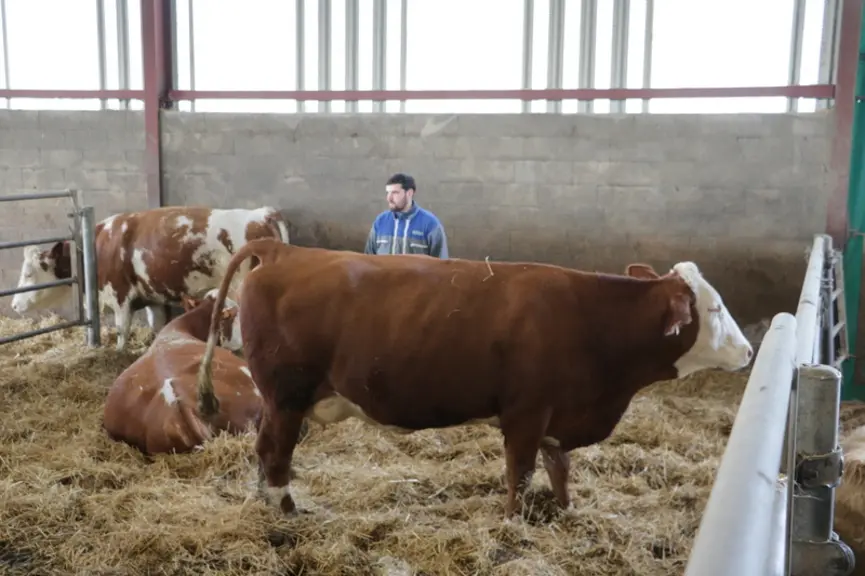 Odyssée a été première de section et meilleure mamelle jeune au SIA 2022.