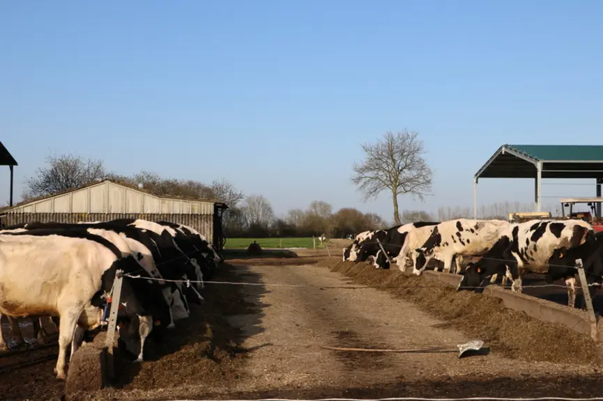 Avant de produire plus de MAT sur la ferme, il convient d'abord de vérifier s'il est possible de réduire les besoins du troupeau, avec des rations mie