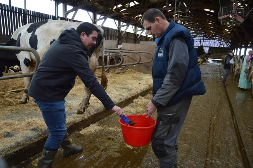 Il faut prélever les bouses de 10 % du troupeau ou au moins 6 vaches.