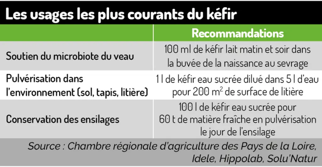 Le kéfir, un breuvage aux multiples usages en élevage laitier