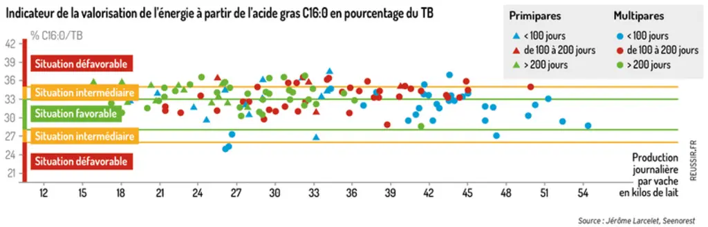 « Grâce aux acides gras du lait, nous peaufinons la ration de nos vaches laitières »