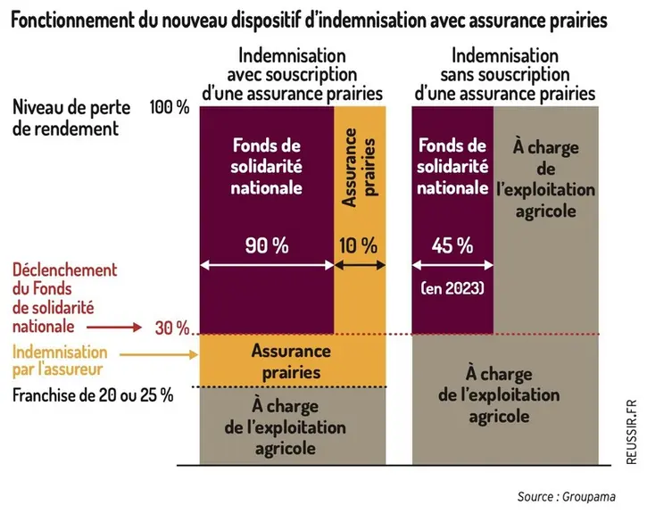 Assurance prairies : le mode d’emploi pour les éleveurs