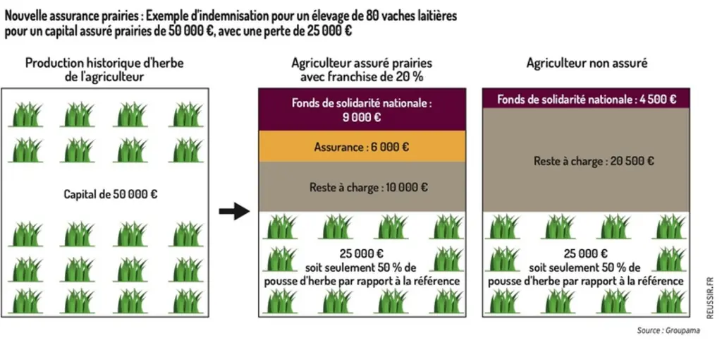 Assurance prairies : le mode d’emploi pour les éleveurs