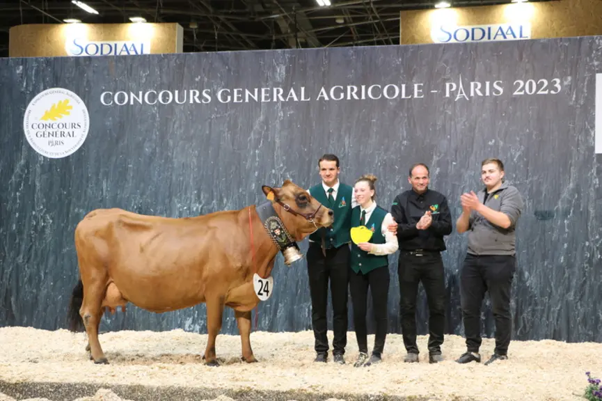 Lorie, championne adulte