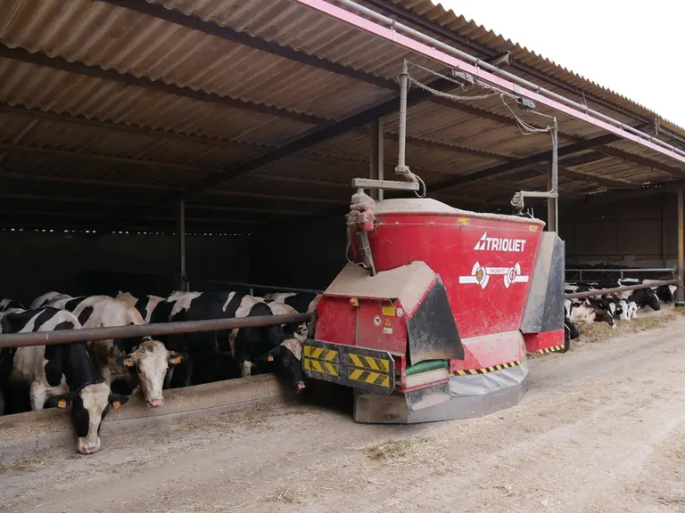 Les robots d'alimentation alimentés en électricité par le secteur bénéficient d'une plus grande capacité de distribution quotidienne que ceux fonction