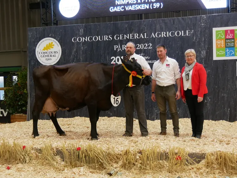Harness (Nimpris) au Gaec Vaesken dans le Nord - Rappel de championnat adulte