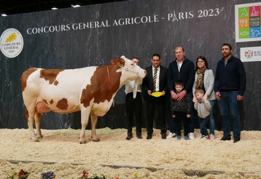 Lili - Gaec Buchin dans le Jura - Championne adulte