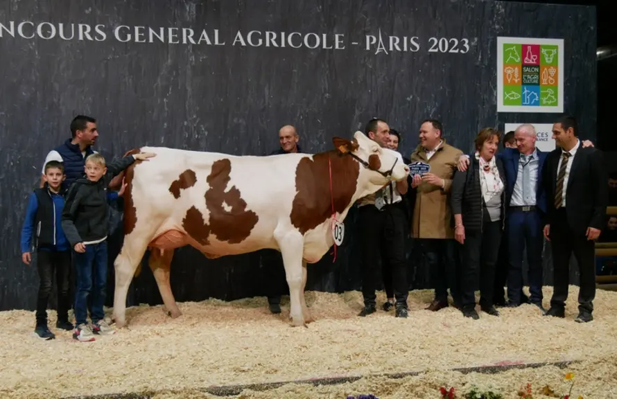 Réelle - Gaec des Orchidées dans le Doubs - Meilleure mamelle jeune