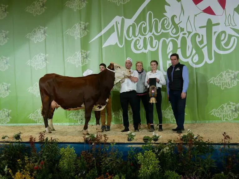 Princesse (Millet)  - Gaec EFR L’Aulp en Haute-Savoie – Grande championne national Abondance