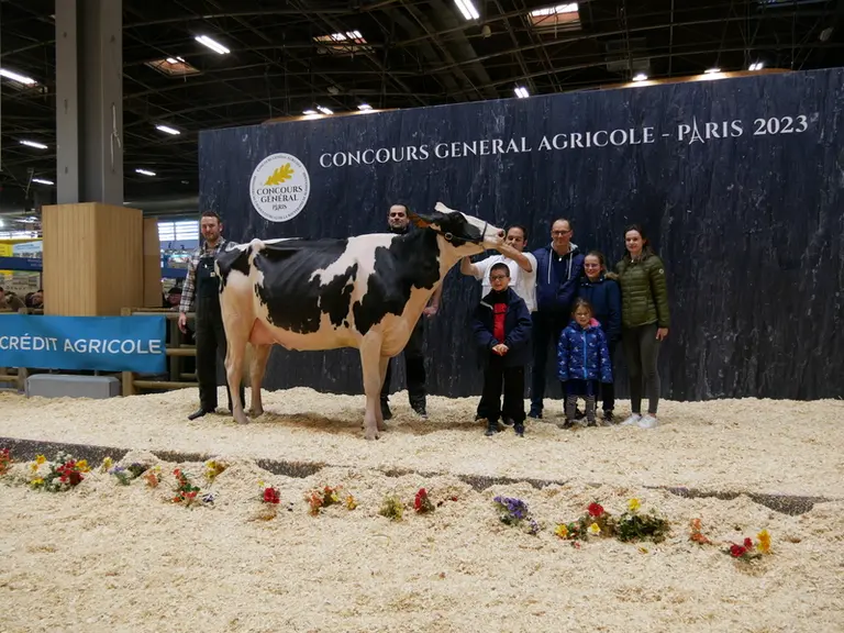 Paisley Feunteun Sané (Chief Stan X Windbrook) – Gaec De Kreis Ker, Gaec De Feunteun Sané (29) - Championne jeune