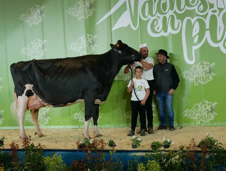 Chanterelles Lola FM (Armani RF) - Gaec des Chanterelles en Hautes-Savoie - Grande championne Prim'Holstein
