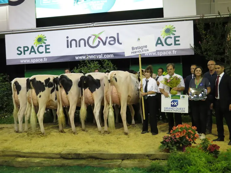 Lot breton vainqueur du challenge interrégional