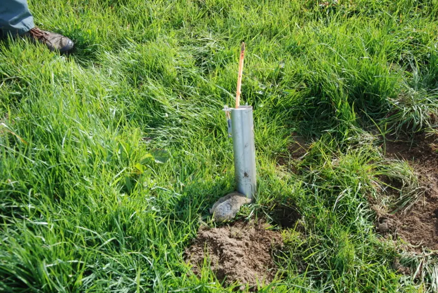 campagnol terrestre, rat taupier, piège à guillotine